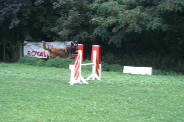 agility 2011-09